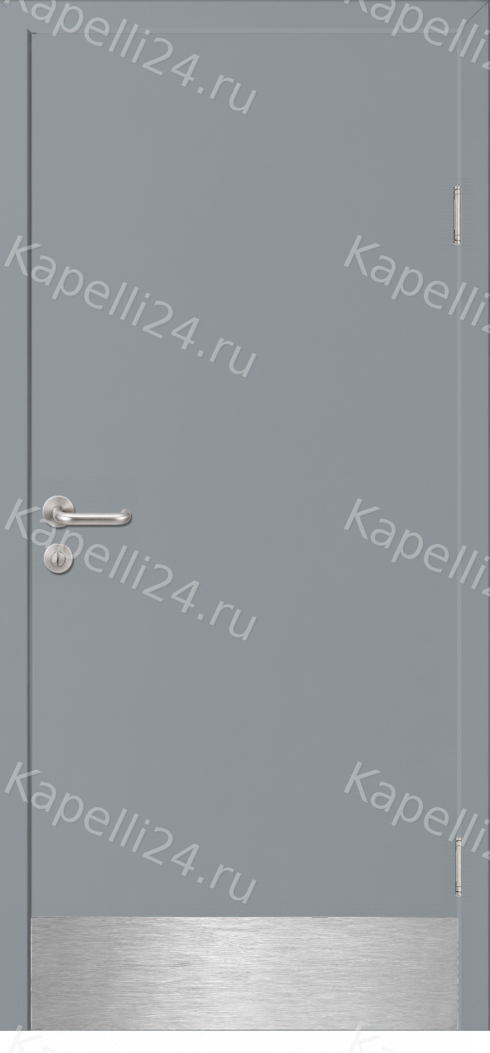 Влагостойкая Дверь Капель однопольная Телегрей 2 RAL 7046 Отбойная пластина из нержавеющей стали