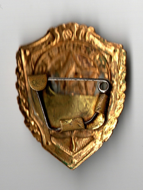 Знак Отличник ВВС, 1967-69 гг. СССР, тяжёлый металл, булавка, эмаль.
