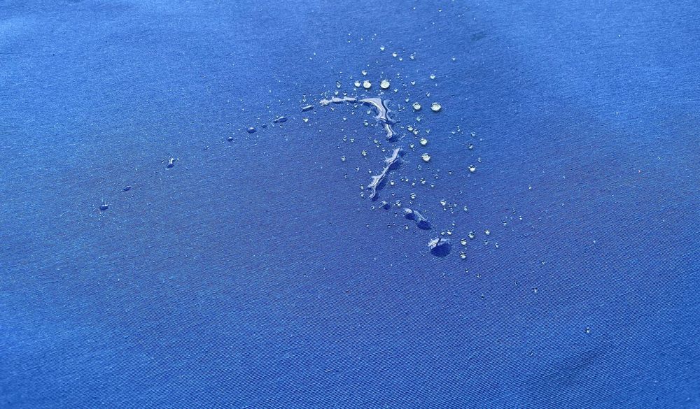 Грета василек 3