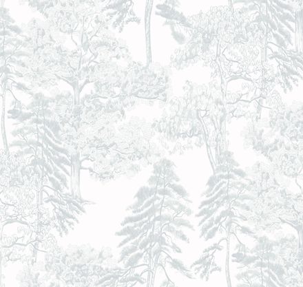 Ambient vol4 Лесной этюд