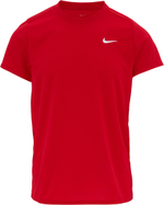 Футболка Nike M Dry Fit Victory 657