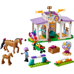 LEGO Friends — Дрессировка лошадей 41746 / артикул   41746  / GTIN 5702017415291