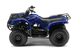 Квадроцикл GRIZZLY 125