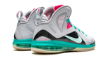 Заказать Nike LeBron 9 PS Elite