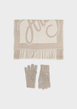 Палантин и перчатки HUGO Sabryna Set