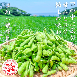 Зелёная Ультраскороспелая Овощная Соя - Эдамамэ