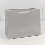 Пакет подарочный 23х18х10см Премиум "Элегант" (Серебряный)
