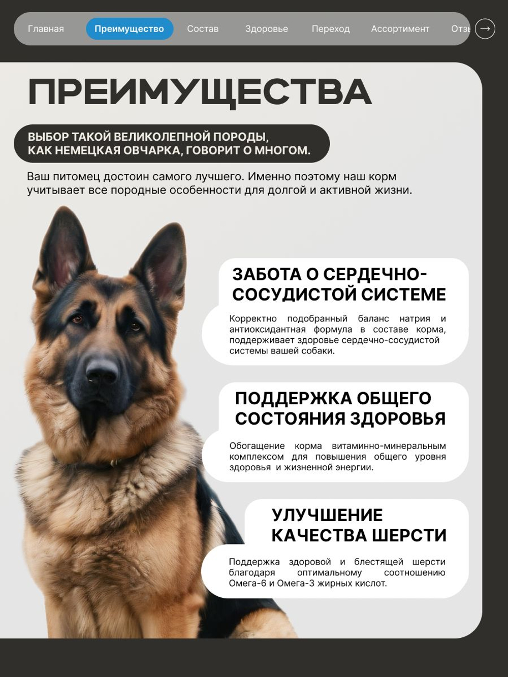 Корм сухой для взрослых собак породы Немецкая овчарка, премиум полнорационный комплекс, с лососем, 12 кг, QUATTRO