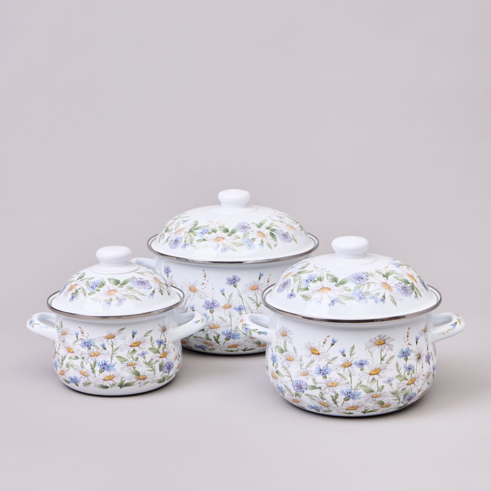 НАБОР КАСТРЮЛЬ AGNESS ЭМАЛИРОВАННЫХ СЕРИЯ "SENTIMENT", 6ПР. 1,5/2,8/3,6Л, 16Х10/20Х12/22Х13СМ