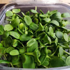 СРЕЗ / Проростки подсолнечника / 50 гр