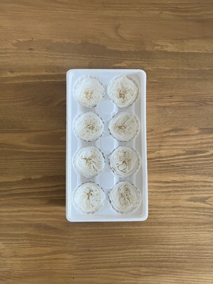 Роза пиновидная белая d=4-5 см (упак 8 шт)