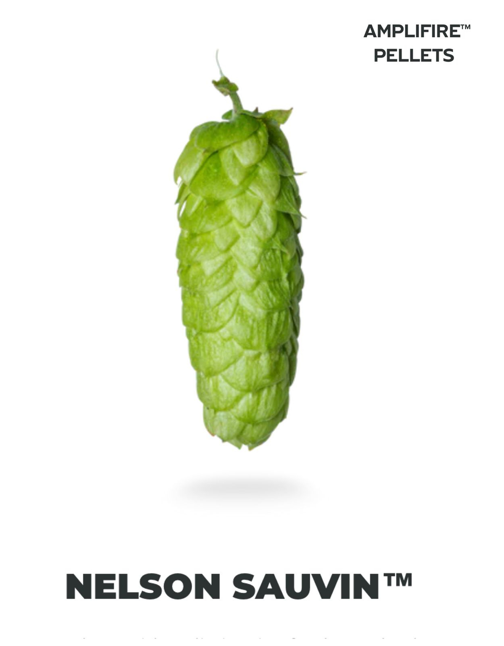 NELSON SAUVIN™ AMPLIFIRE™