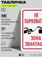 Табличка для парковки "Не парковаться, зона эвакуации", для дома, офиса, организаций, 40х30 см, Silver Plane x Айдентика Технолоджи