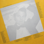 Timothy B. Schmit / Playin' It Cool (LP)