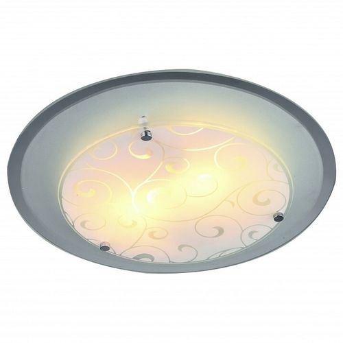Накладной светильник Arte Lamp A4806PL-1CC