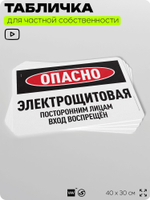 Табличка для частной территории "Опасно, электрощитовая", на дом, для участка, организаций и частных территорий, предупреждающая, 40х30 см, Silver Plane x Айдентика Технолоджи