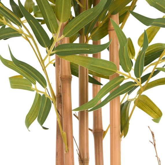 Бамбук высота 175 см