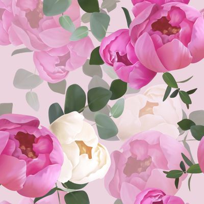 Розовые и белые пионы на розовом фоне