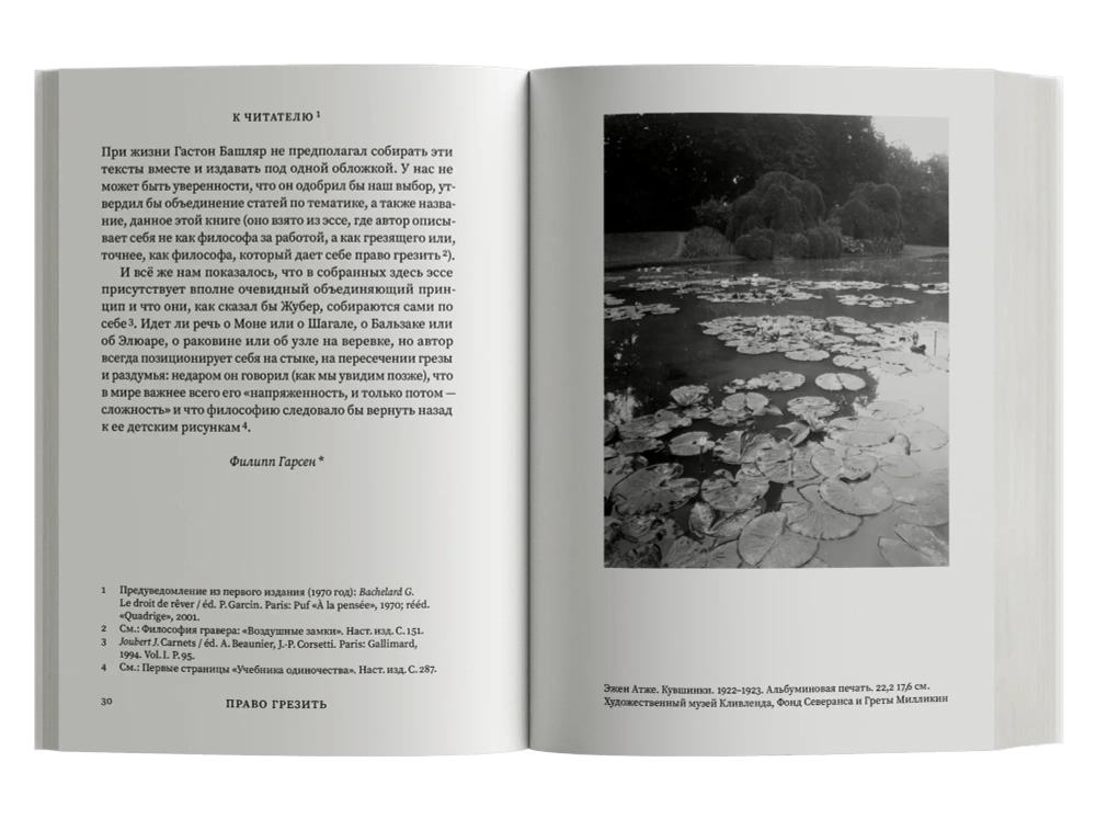 Право грезить