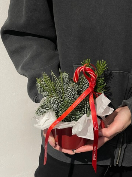 Новогодняя композиция в кружке красной