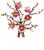 Конструктор LEGO The Botanical Collection 11510 Magnolia Branches