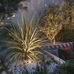 Светильник LTD-DAFNA-GROUND-R100-6W Warm3000 (SL, 10 deg, 230V) (Arlight, IP67 Металл, 5 лет) 061171