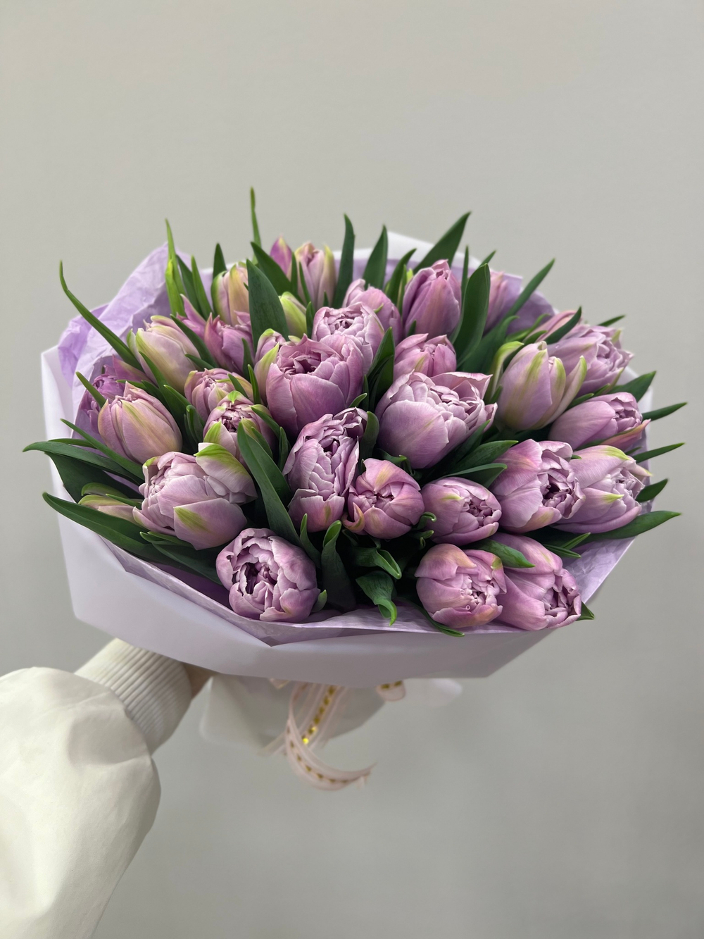 Кикстар 19