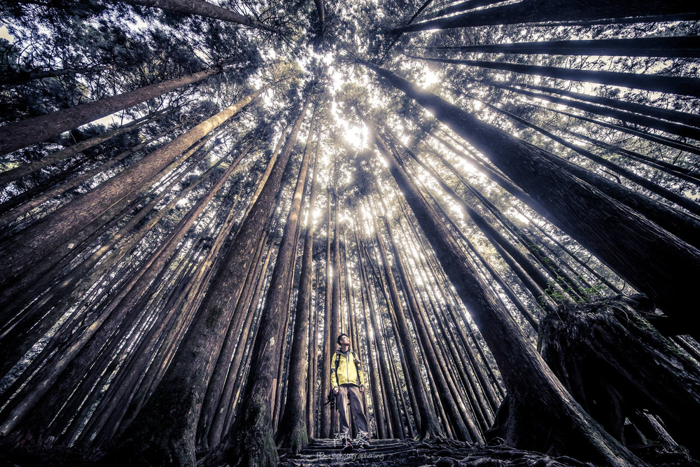 Объектив Laowa 12mm f/2.8 Lite Zero-D FF Auto Focus Nikon Z