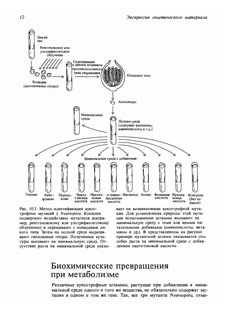 Современная генетика. Том 2 | Ф. Айала; Д. Кайгер