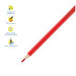 Карандаши цветные Мульти-Пульти "Енот в космосе", 24цв., трехгран., заточен., европодвес