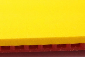 DR NEUBAUER Domination Speed 2