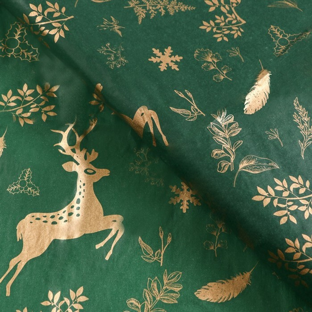 700 - 2025-12-03T151749.084