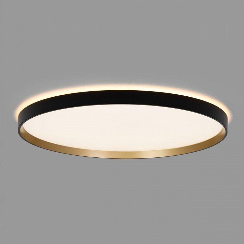 Накладной светильник Citilux ETALON CL750501R