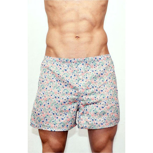 Мужские трусы-шорты серые Romeo Rossi Spring Meadow Shorts RR00312