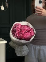 Моно из одноголовой хризантемы сливового оттенка 7шт