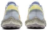 Кроссовки Nike Pegasus Trail 2 (Женская размерная сетка)
