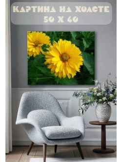 Картина на стену 40 X 50 Цветок гелиопсис