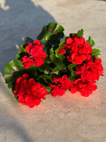 Герань красная куст с цветами 43 см