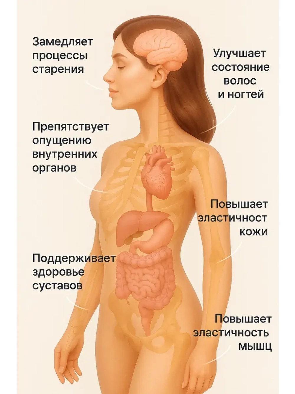 Коллаген со вкусом лимон-лайм (180 гр)