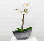 Кашпо МИКРИТ овальное 3,4 л 35,5*17*13см М3109