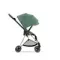 Прогулочная коляска Cybex Mios Leaf Green Rosegold