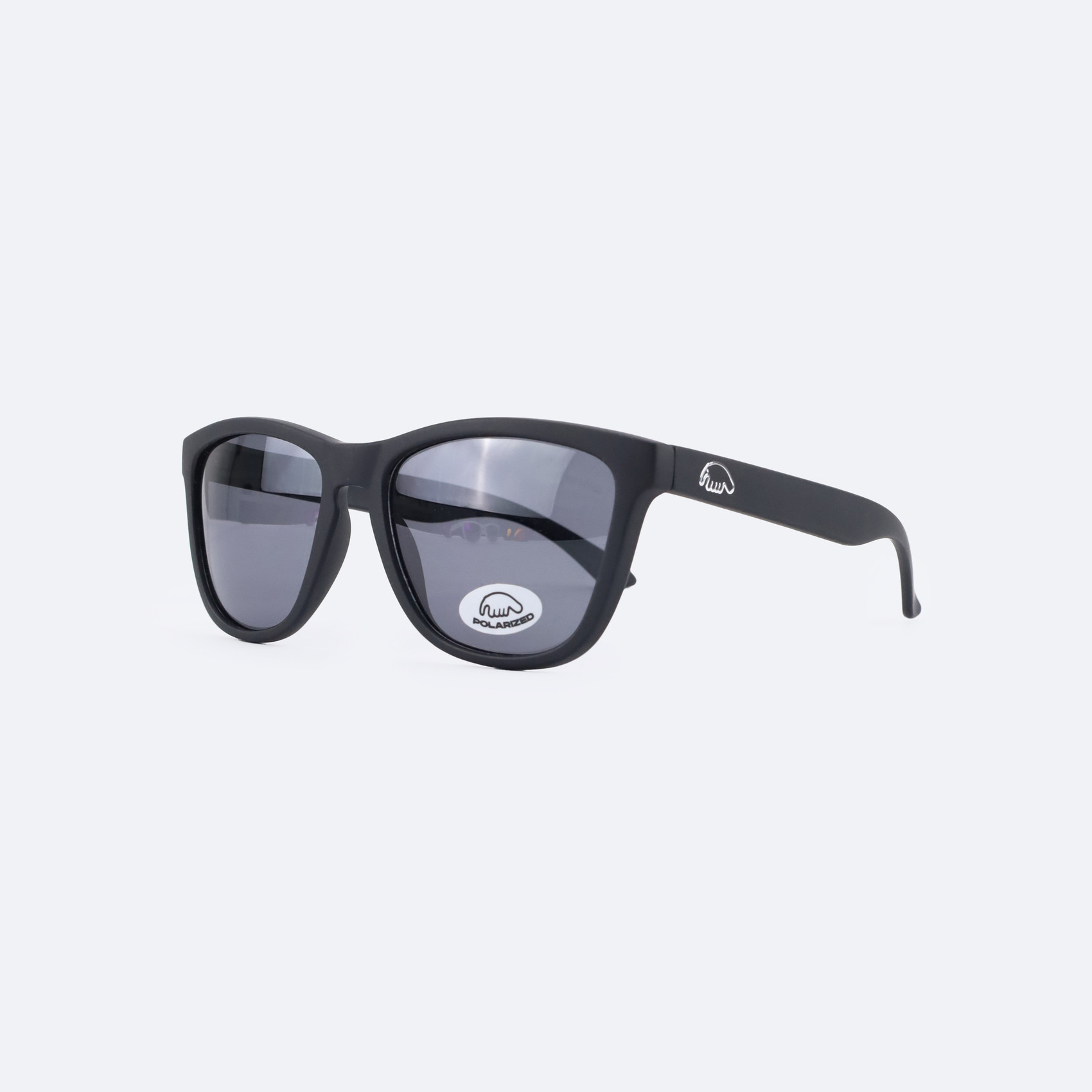 Очки Anteater Agent (black) артикул: - купить в магазине Дайс