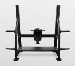 Скамья для жима наклонная Bronze Gym BR-1014