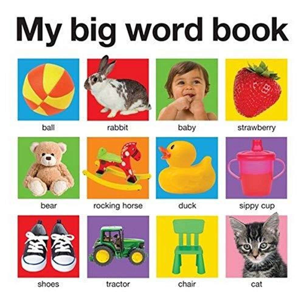 My Big Word Book (board book)