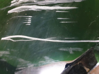 Бампер задний левая часть Toyota RAV4 5 XA50 (2018-н.в.)