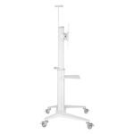 Стойка мобильная для панелей Digis DSM-P764C (37-70")