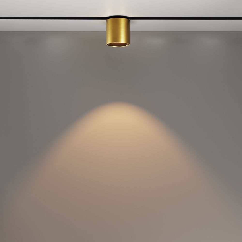 Трековый светильник светодиодный Maytoni Exility   TR132-2-7W3K-BS