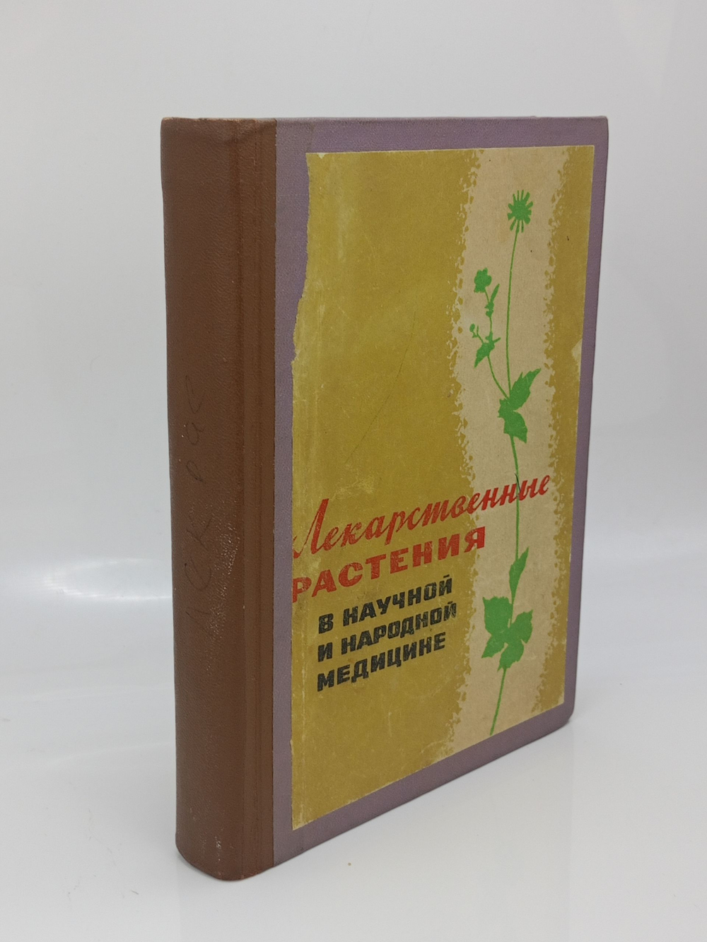 Лекарственные растения в научной и народной медицине.