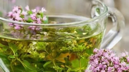 Шалфей для омоложения женьщин