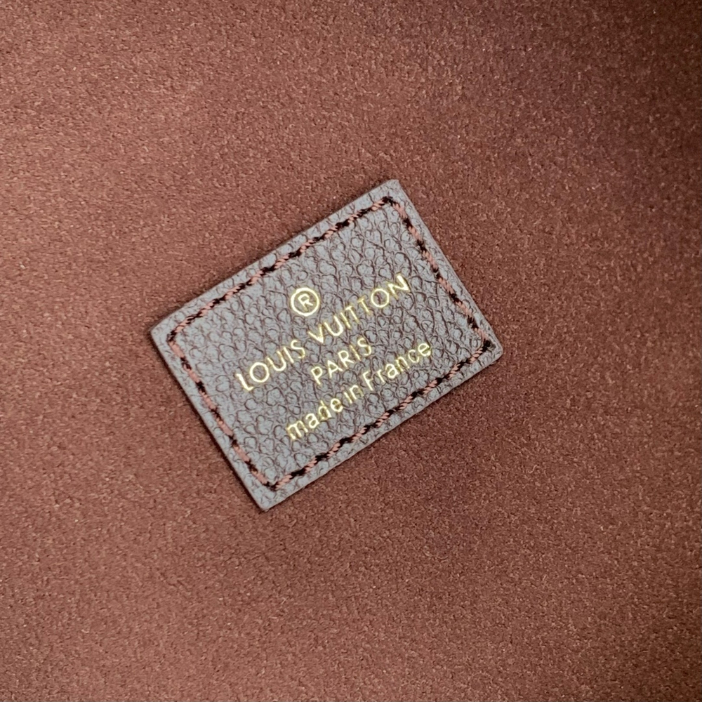 Louis Vuitton Loop Hobo Bag